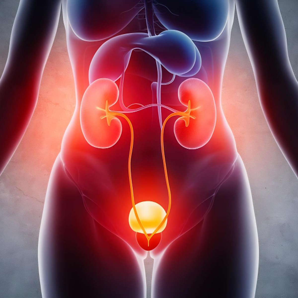 UTI Treatment